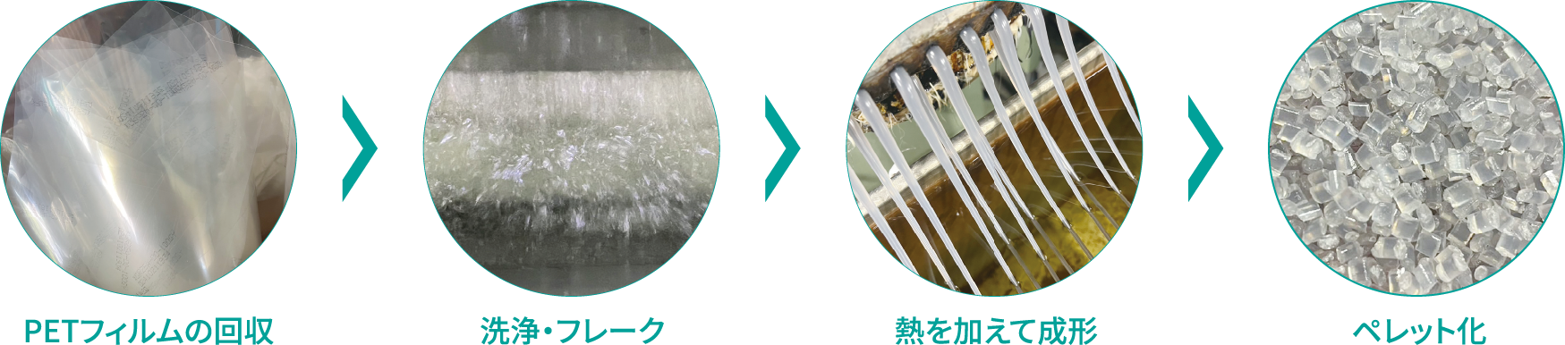PETフィルム再利用の流れ：PETフィルムの回収 → 洗浄・フレーク → 熱を加えて成形 → ペレット化