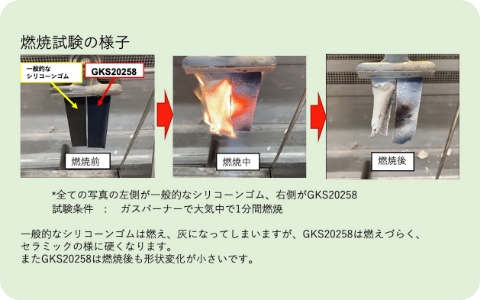 燃焼試験の様子